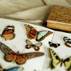 Little Butterfly Vellum Stickers