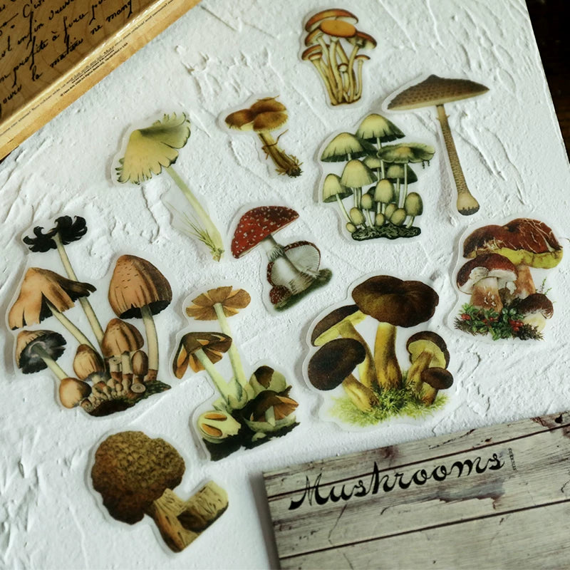 Little Mushroom Vellum Stickers