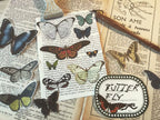 Little Butterfly Vellum Stickers