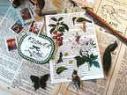 Flower and Bird Vellum Stickers