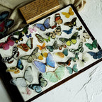 Little Butterfly Vellum Stickers