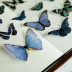 Little Butterfly Vellum Stickers