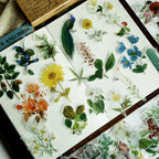 Flower and Bird Vellum Stickers
