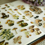 Little Mushroom Vellum Stickers