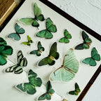 Little Butterfly Vellum Stickers