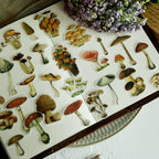 Little Mushroom Vellum Stickers