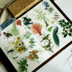 Flower and Bird Vellum Stickers