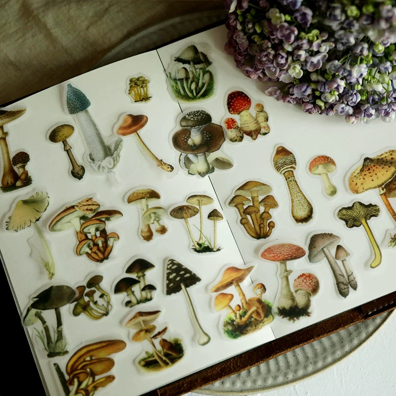 Little Mushroom Vellum Stickers