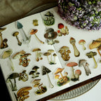 Little Mushroom Vellum Stickers