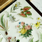 Flower and Bird Vellum Stickers