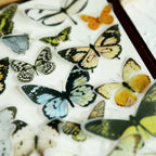 Little Butterfly Vellum Stickers