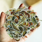 Little Mushroom Vellum Stickers