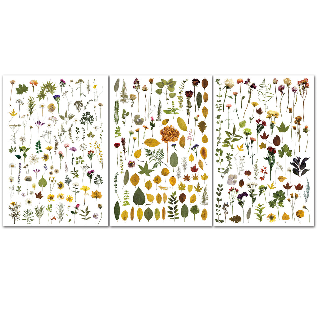 Green Dried Flowers Matte Rub-on Transfers