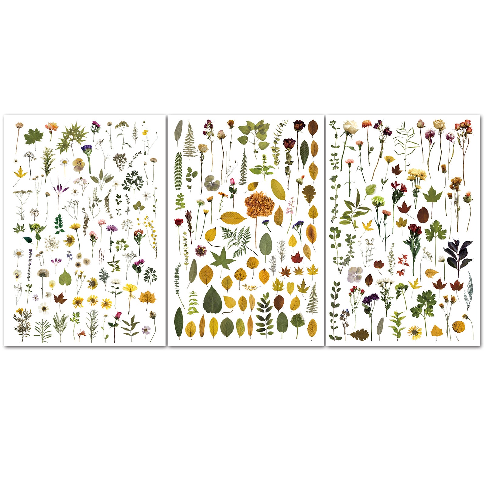 Green Dried Flowers Matte Rub-on Transfers